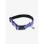 LeMieux Henley Webbing Dog Collar Bluebell